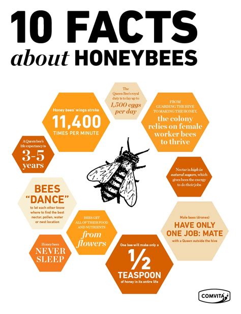 The Bee 96.3 .